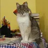 Отзыв от Яна Глушкова